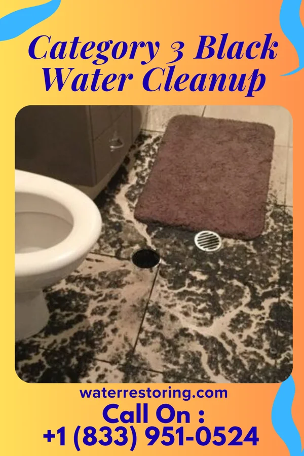 Category 3 Black Water Cleanup in Ocheyedan, IA