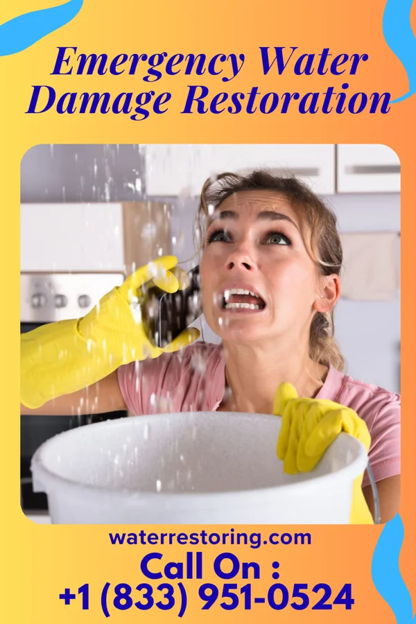 Emergency Water Damage Restoration in Ocheyedan, IA