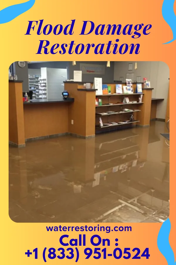 Flood Damage Restoration in Ocheyedan, IA