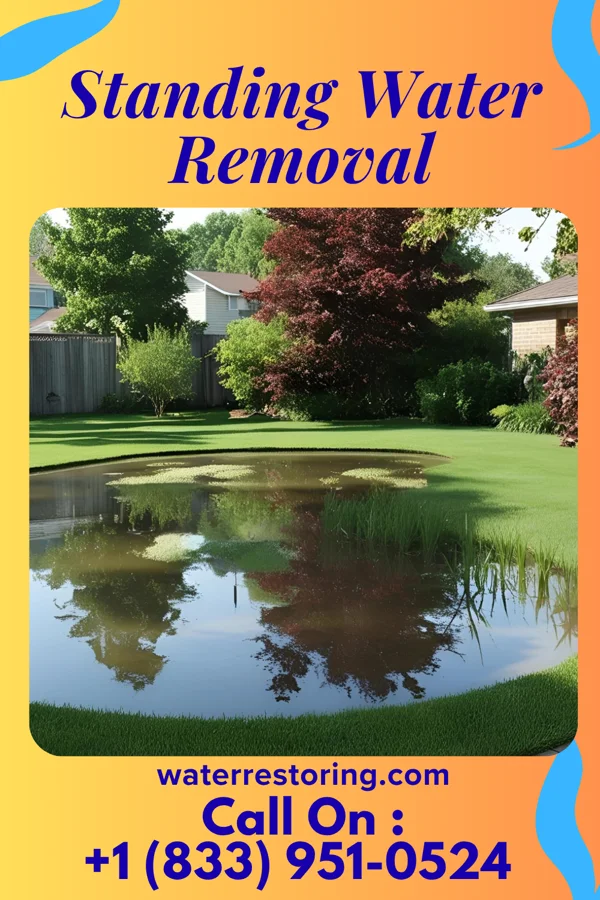Standing Water Removal in Ocheyedan, IA